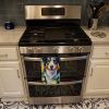 Border Collie in Sunflowers Kitchen Towel Dish Cloths Guest Hand Towel Decorative Bathroom Towel for Face,Tea, Dishcloth, Kitchen and Bath