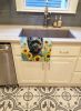 Cairn Terrier in Sunflowers Kitchen Towel Dish Cloths Guest Hand Towel Decorative Bathroom Towel for Face,Tea, Dishcloth, Kitchen and Bath