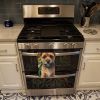 Border Terrier in Sunflowers Kitchen Towel Dish Cloths Guest Hand Towel Decorative Bathroom Towel for Face,Tea, Dishcloth, Kitchen and Bath