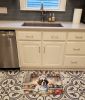 Saint Bernard The Chef Memory Foam Kitchen Mat Machine Washable Anti-Fatigue Mat Cushion Comfort Bath Mat or Kitchen Rug
