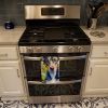Catahoula in Sunflowers Kitchen Towel Dish Cloths Guest Hand Towel Decorative Bathroom Towel for Face,Tea, Dishcloth, Kitchen and Bath